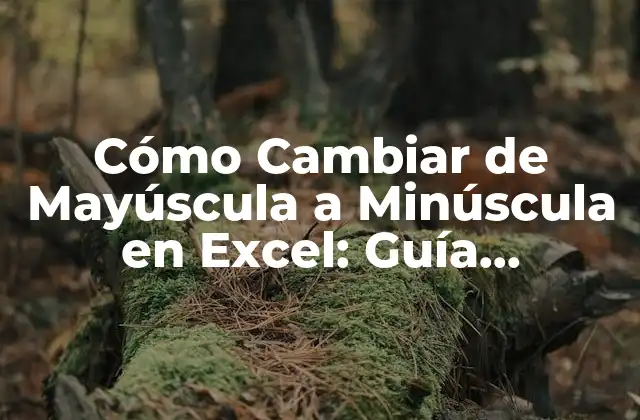 Cómo Cambiar de Mayúscula a Minúscula en Excel: Guía Definitiva