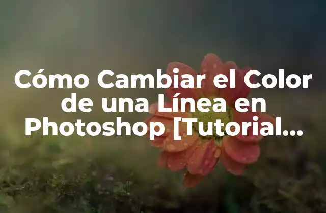 Cómo Cambiar el Color de una Línea en Photoshop [tutorial Paso a Paso]