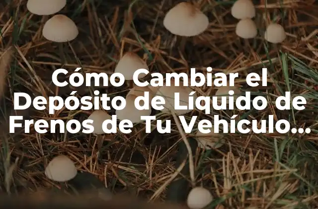 Cómo Cambiar el Depósito de Líquido de Frenos de Tu Vehículo de Forma Segura y Efectiva