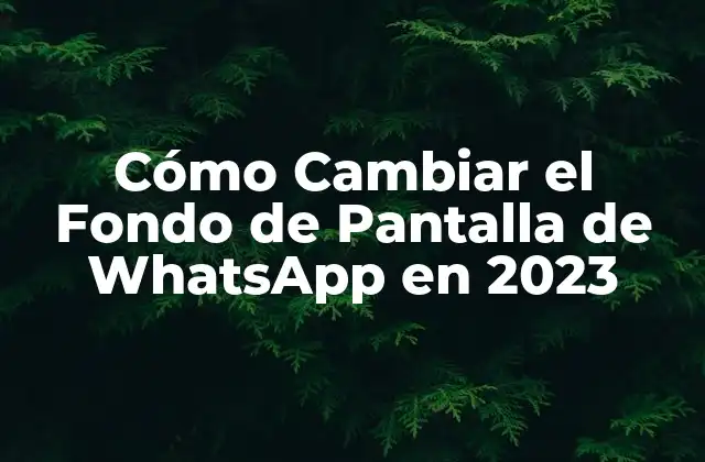 Cómo Cambiar el Fondo de Pantalla de Whatsapp en 2023
