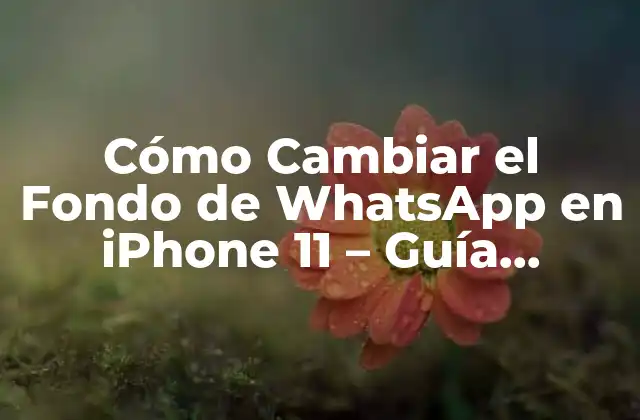 Cómo Cambiar el Fondo de Whatsapp en Iphone 11 – Guía Completa