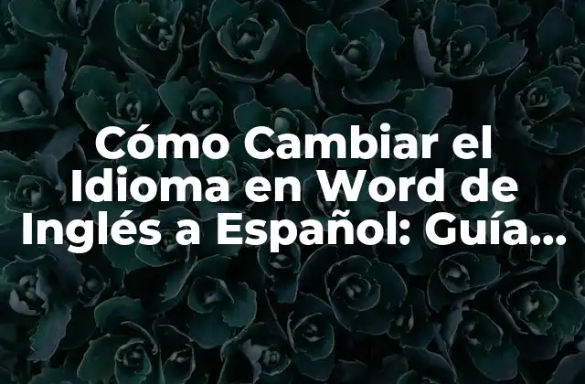 Ventajas de Cambiar el Idioma en Word