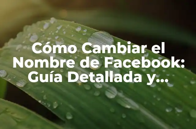 Cómo Cambiar el Nombre de Facebook: Guía Detallada y Actualizada