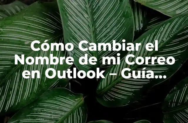 Cómo Cambiar el Nombre de Mi Correo en Outlook – Guía Detallada