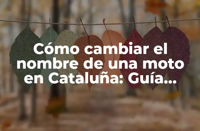 Cómo Cambiar el Nombre de una Moto en Cataluña: Guía Completa sobre el Precio y el Proceso