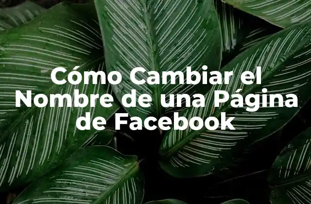 ¿Por qué cambiar el nombre de una página de Facebook?