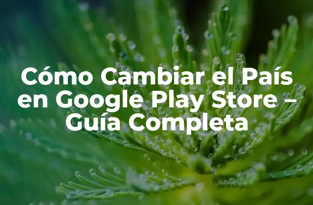 Cómo Cambiar el País en Google Play Store – Guía Completa