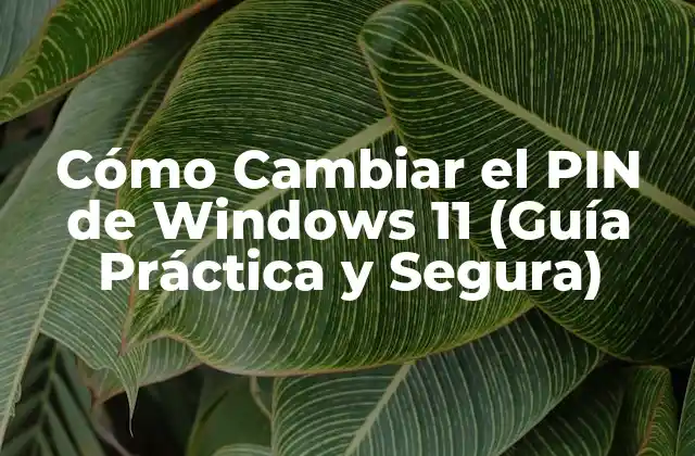 Cómo Cambiar el Pin de Windows 11 (guía Práctica y Segura)
