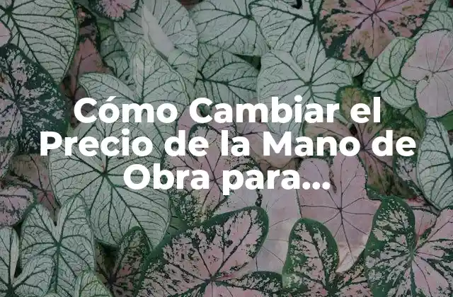 Cómo Cambiar el Precio de la Mano de Obra para Amortiguadores de Coche