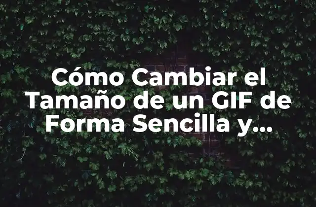 Cómo Cambiar el Tamaño de un Gif de Forma Sencilla y Rápida