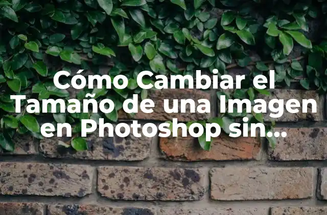 Cómo Cambiar el Tamaño de una Imagen en Photoshop sin Perder Calidad
