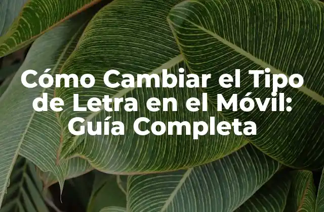Cómo Cambiar el Tipo de Letra en el Móvil: Guía Completa 2 ¿Por qué es Importante Cambiar el Tipo de Letra en el Móvil?