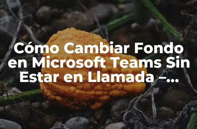 Cómo Cambiar Fondo en Microsoft Teams sin Estar en Llamada – Guía Completa
