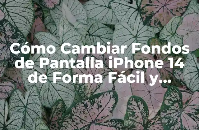 Cómo Cambiar Fondos de Pantalla Iphone 14 de Forma Fácil y Rápida
