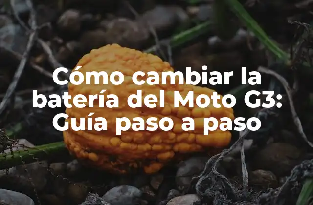 Cómo Cambiar la Batería Del Moto G3: Guía Paso a Paso
