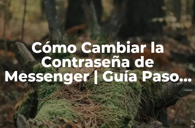 Cómo Cambiar la Contraseña de Messenger | Guía Paso a Paso 2 ¿Por qué es importante cambiar la contraseña de Messenger?