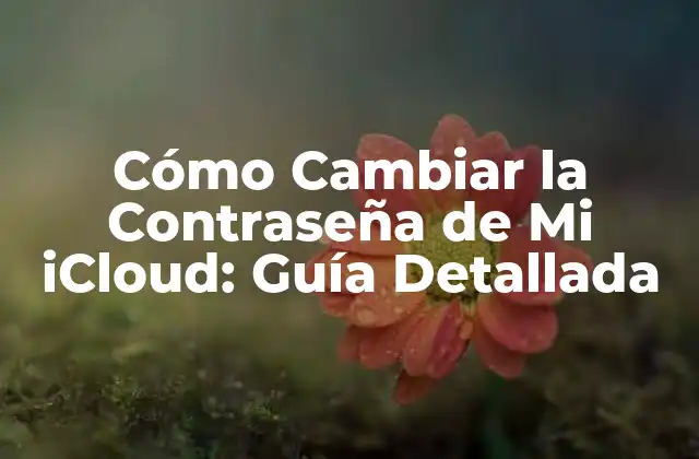 Cómo Cambiar la Contraseña de Mi Icloud: Guía Detallada