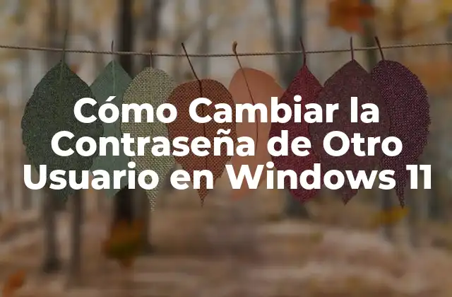 Cómo Cambiar la Contraseña de Otro Usuario en Windows 11