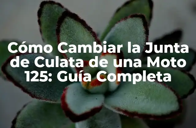 Cómo Cambiar la Junta de Culata de una Moto 125: Guía Completa