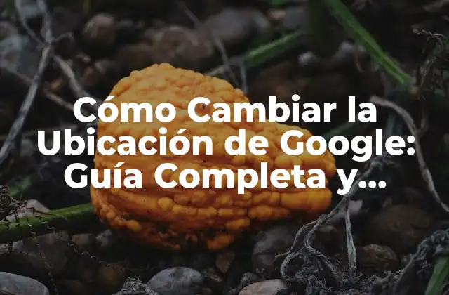 ¿Por qué es importante cambiar la ubicación de Google?