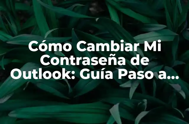Cómo Cambiar Mi Contraseña de Outlook: Guía Paso a Paso