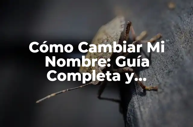 Cómo Cambiar Mi Nombre: Guía Completa y Actualizada