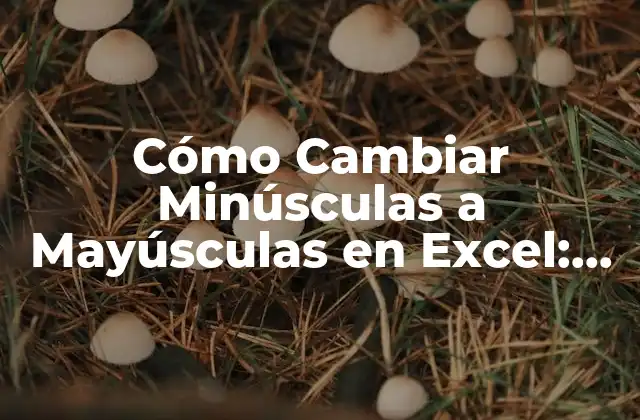 Cómo Cambiar Minúsculas a Mayúsculas en Excel: Guía Práctica y Detallada