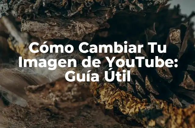 Cómo Cambiar Tu Imagen de Youtube: Guía Útil