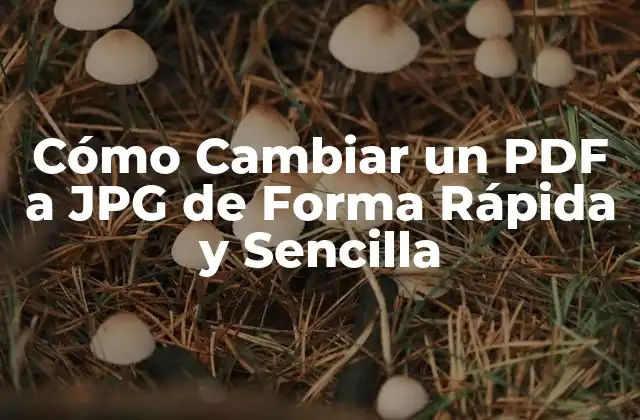 Cómo Cambiar un Pdf a Jpg de Forma Rápida y Sencilla