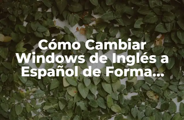 ¿Por qué es importante cambiar el idioma de Windows?