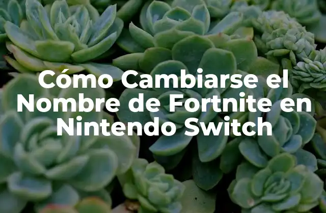 Cómo Cambiarse el Nombre de Fortnite en Nintendo Switch