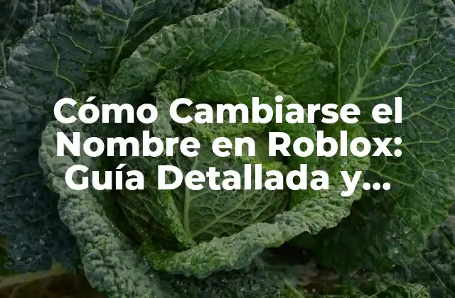 Cómo Cambiarse el Nombre en Roblox: Guía Detallada y Actualizada