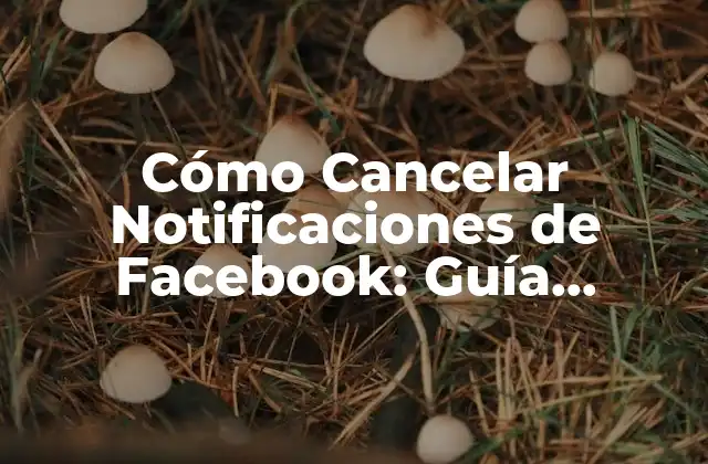 Cómo Cancelar Notificaciones de Facebook: Guía Detallada