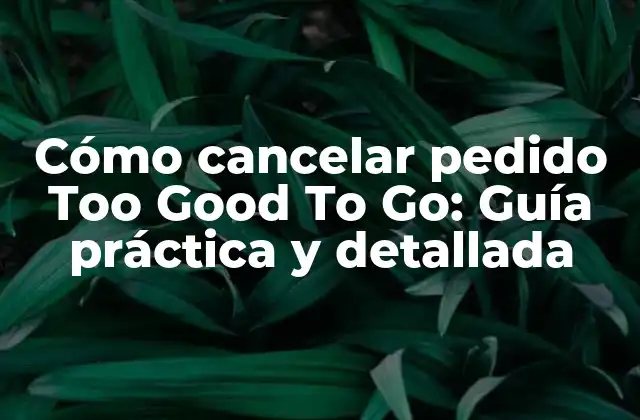 Cómo Cancelar Pedido Too Good To Go: Guía Práctica y Detallada
