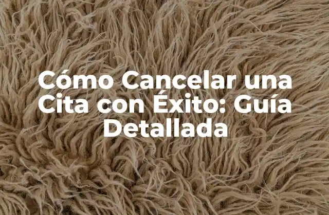 Cómo Cancelar una Cita con Éxito: Guía Detallada