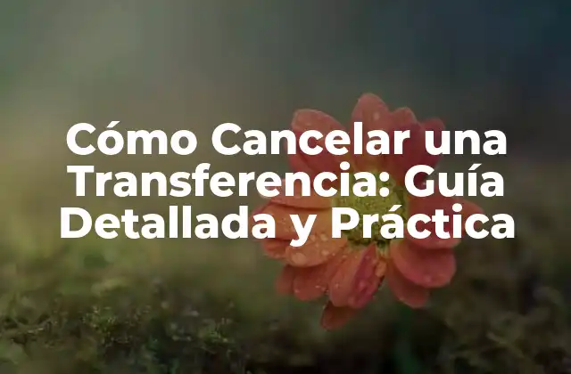 Cómo Cancelar una Transferencia: Guía Detallada y Práctica