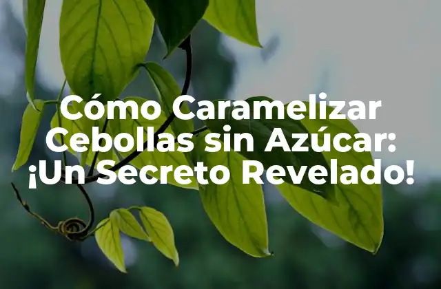 Cómo Caramelizar Cebollas sin Azúcar: ¡un Secreto Revelado!