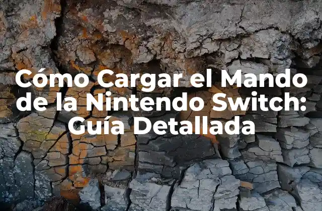 Cómo Cargar el Mando de la Nintendo Switch: Guía Detallada