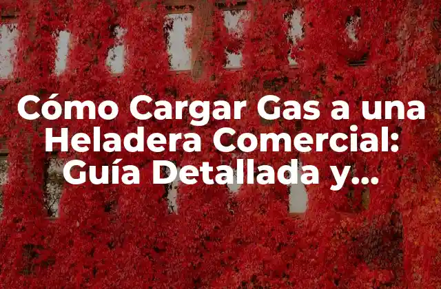 Cómo Cargar Gas a una Heladera Comercial: Guía Detallada y Segura