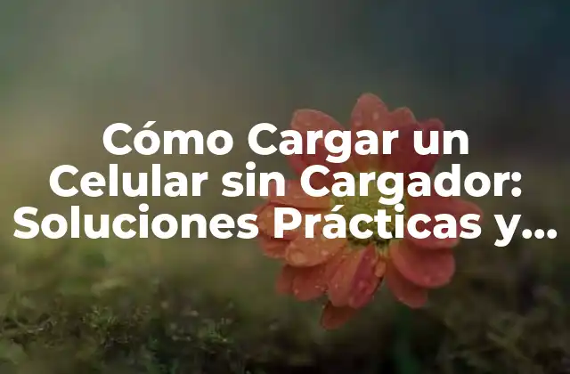 Cómo Cargar un Celular sin Cargador: Soluciones Prácticas y Alternativas