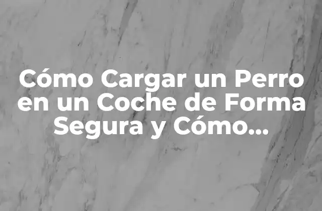 Cómo Cargar un Perro en un Coche de Forma Segura y Cómo Prepararlo para Viajar