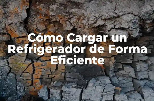 Cómo Cargar un Refrigerador de Forma Eficiente 2 Planificar y Organizar su Contenido