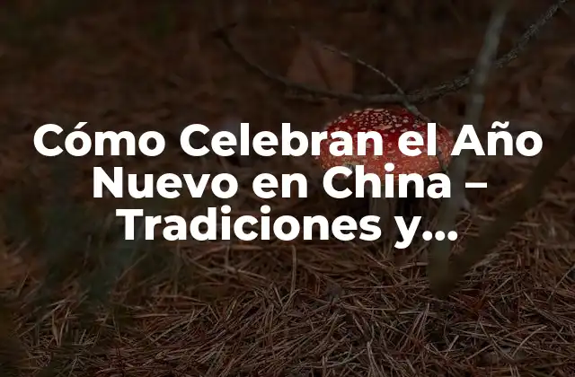 Cómo Celebran el Año Nuevo en China – Tradiciones y Costumbres