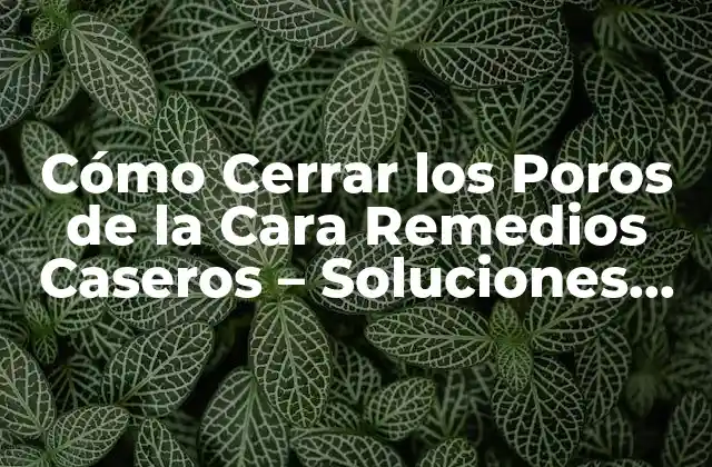 Cómo Cerrar los Poros de la Cara Remedios Caseros – Soluciones Naturales