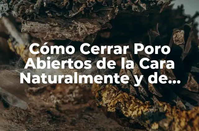 Cómo Cerrar Poro Abiertos de la Cara Naturalmente y de Forma Permanente