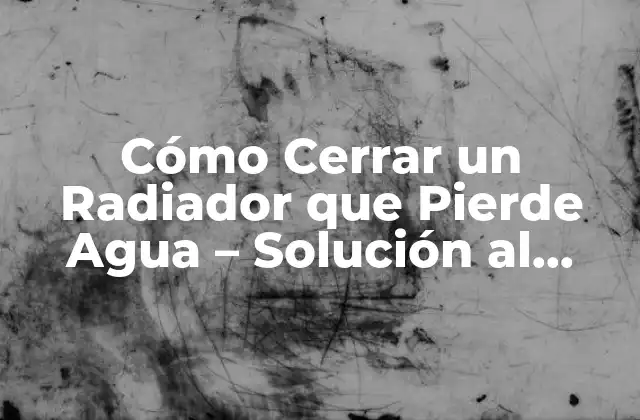 Cómo Cerrar un Radiador que Pierde Agua – Solución Al Problema de Fugas