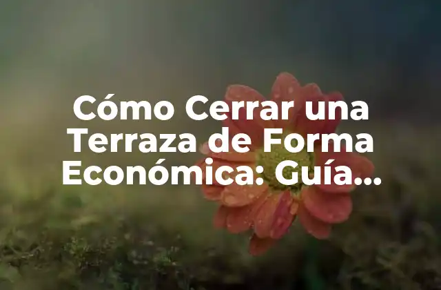Cómo Cerrar una Terraza de Forma Económica: Guía Completa