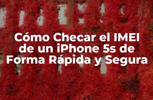 Cómo Checar el Imei de un Iphone 5s de Forma Rápida y Segura