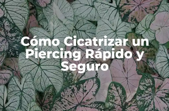 Cómo Cicatrizar un Piercing Rápido y Seguro