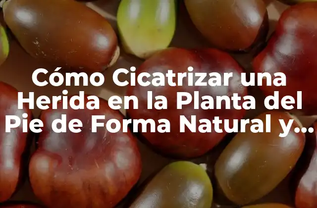 Cómo Cicatrizar una Herida en la Planta Del Pie de Forma Natural y Eficaz